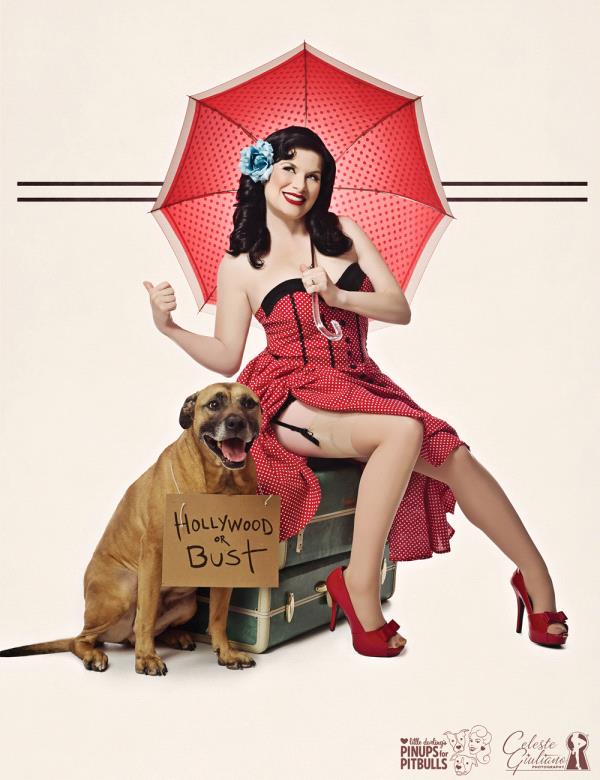 /Images/uploads/Pinups for Pitbulls/greatestpits/entries/13015thumb.jpg